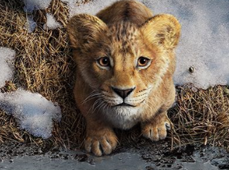 Screenshot 2024 04 29 221204