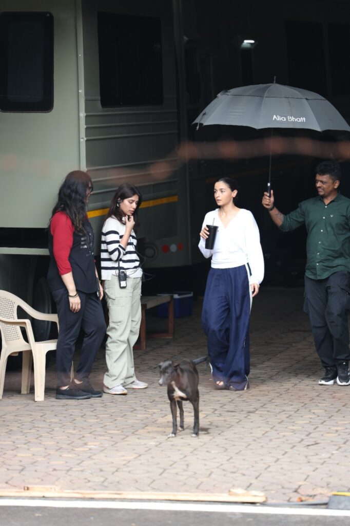 WhatsApp Image 2024 07 10 at 14.33.59 a90550dd